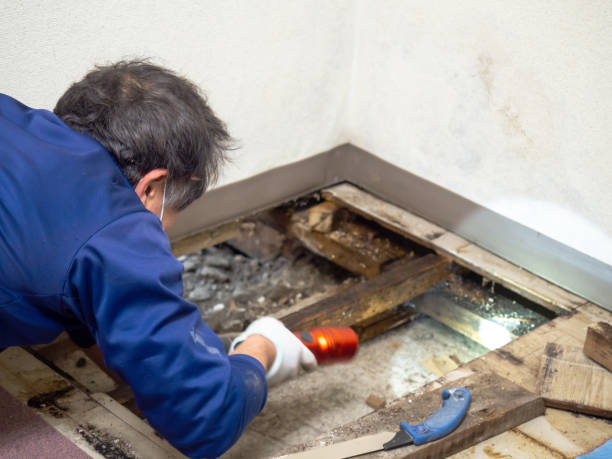 Best Mold Testing  in Waterflow, NM
