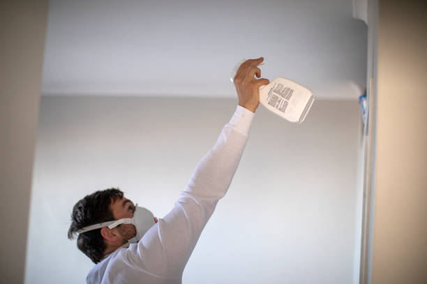 Best Professional Mold Removal  in Waterflow, NM