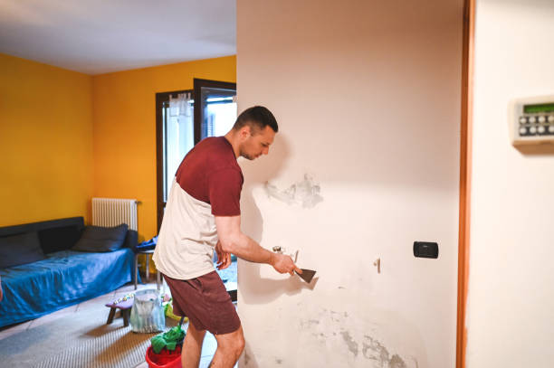 Best Mold Remediation  in Waterflow, NM